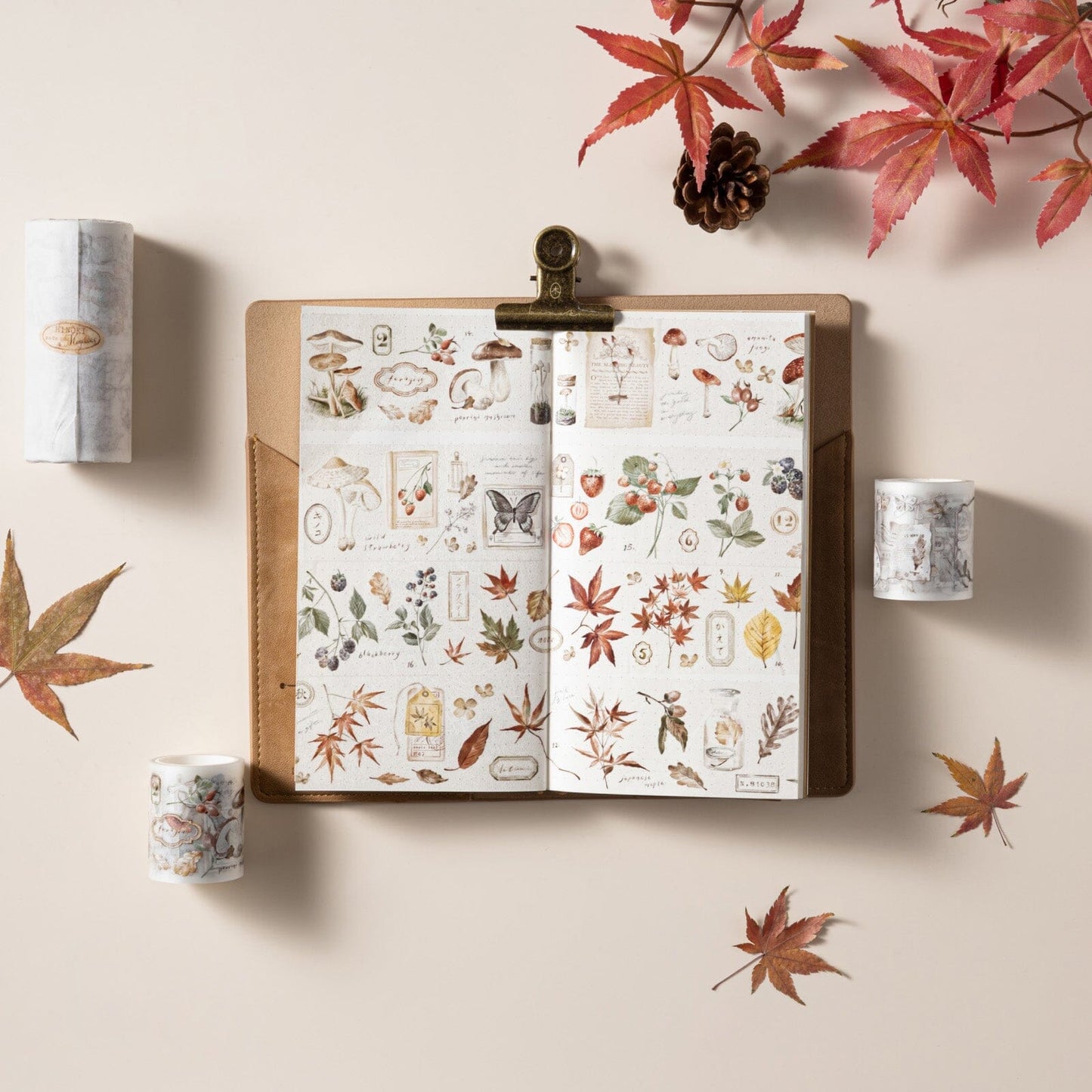 Hinoki - ‘Into the Fall’ Decorative PET Tape Set