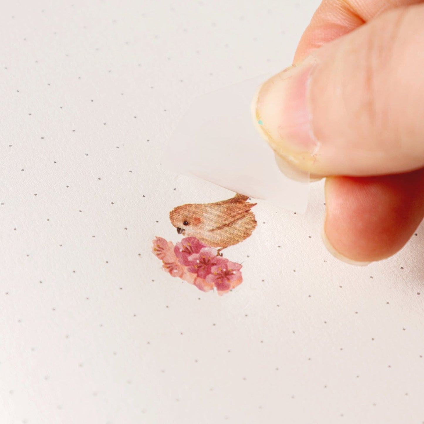 Hinoki - ‘Into the Song' Transfer Sticker Set