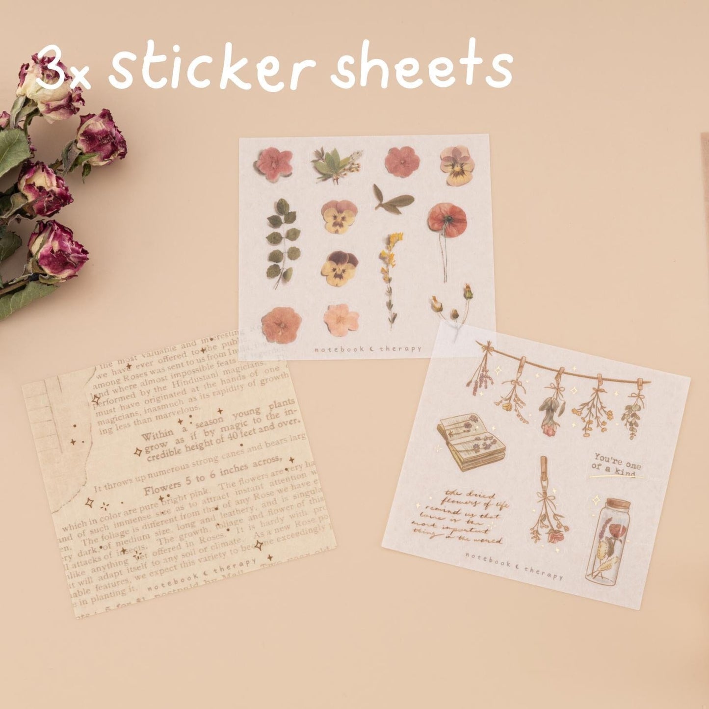 Tsuki ‘Dried Flowers’ Washi Tape Set ☾