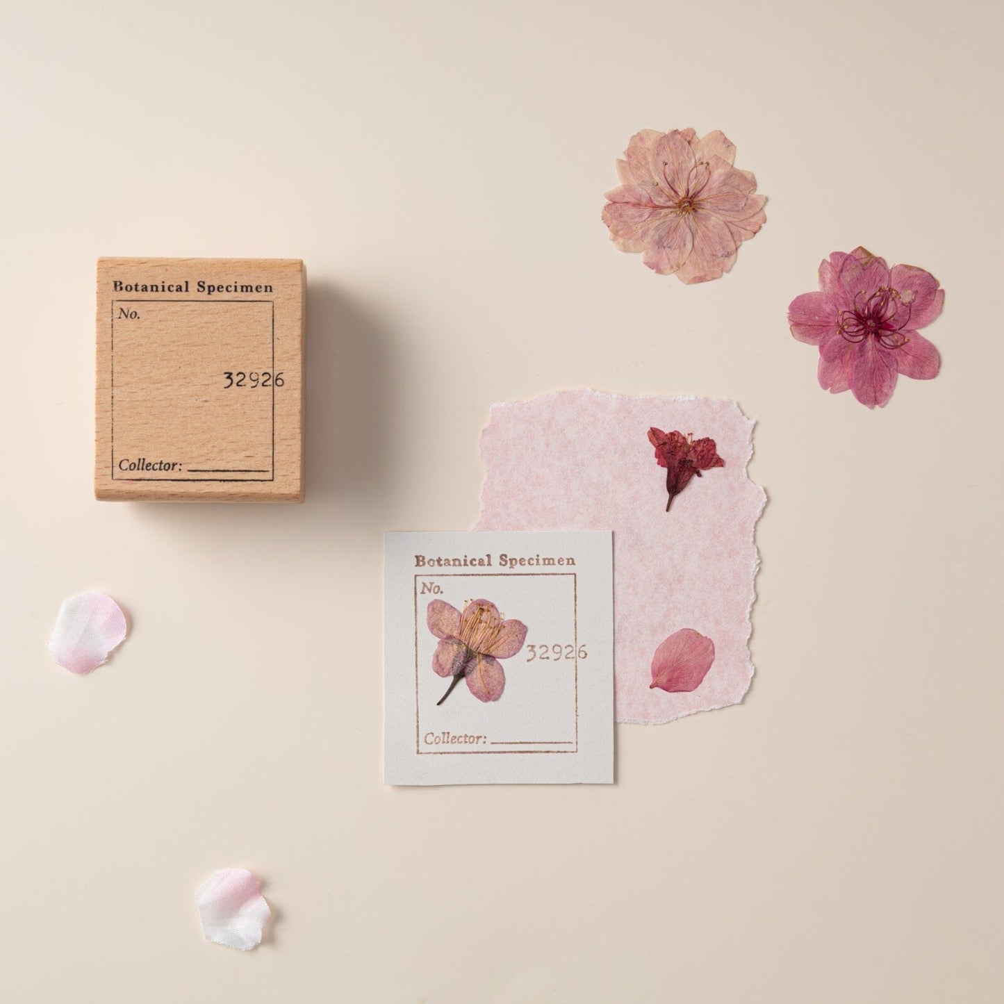 Hinoki - ‘Into the Blossom’ Wooden Stamps Set