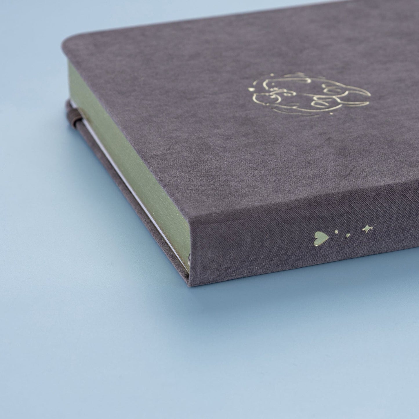 Tsuki ‘Otter Friends’ Limited Edition Bullet Journal ☾