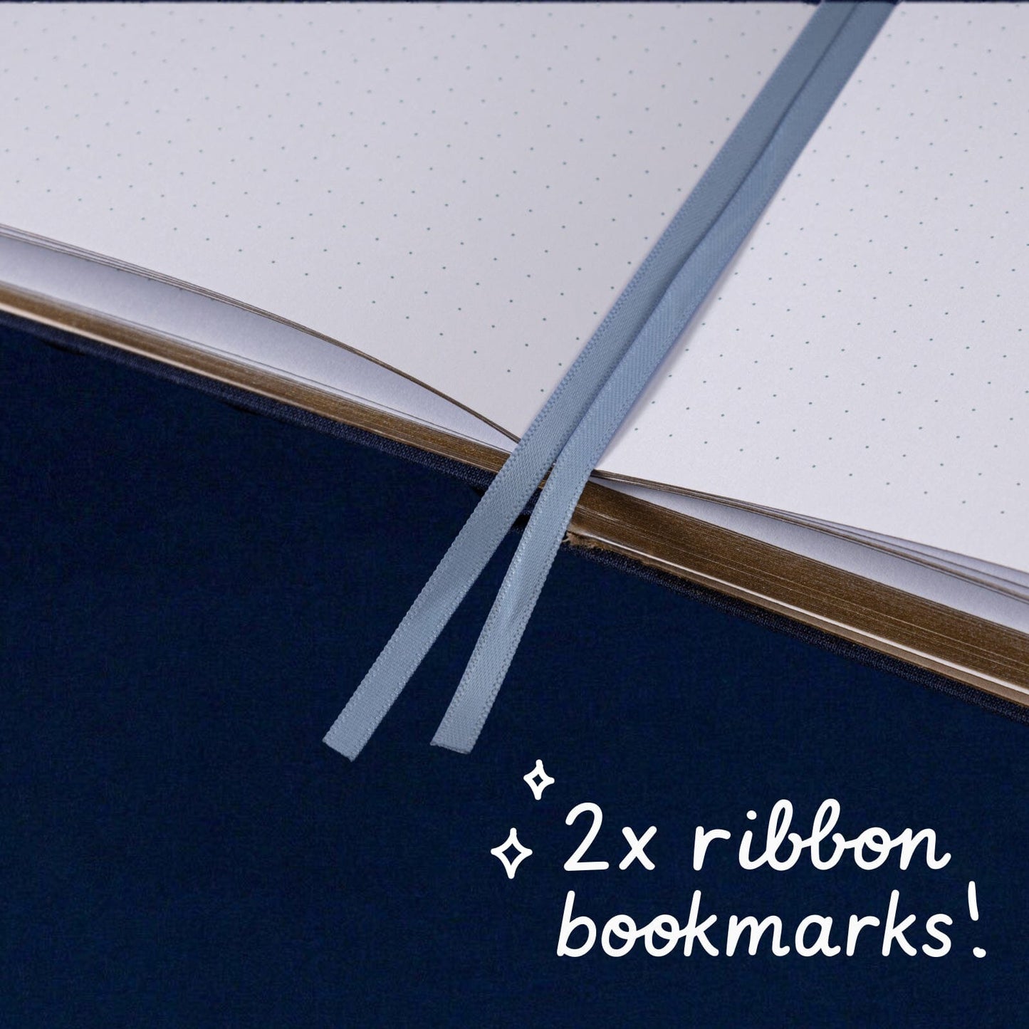 Tsuki ‘Swan Lake’ Limited Edition Bullet Journal ☾