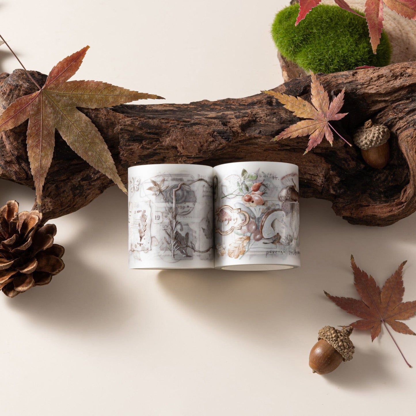 Hinoki - ‘Into the Fall’ Decorative PET Tape Set