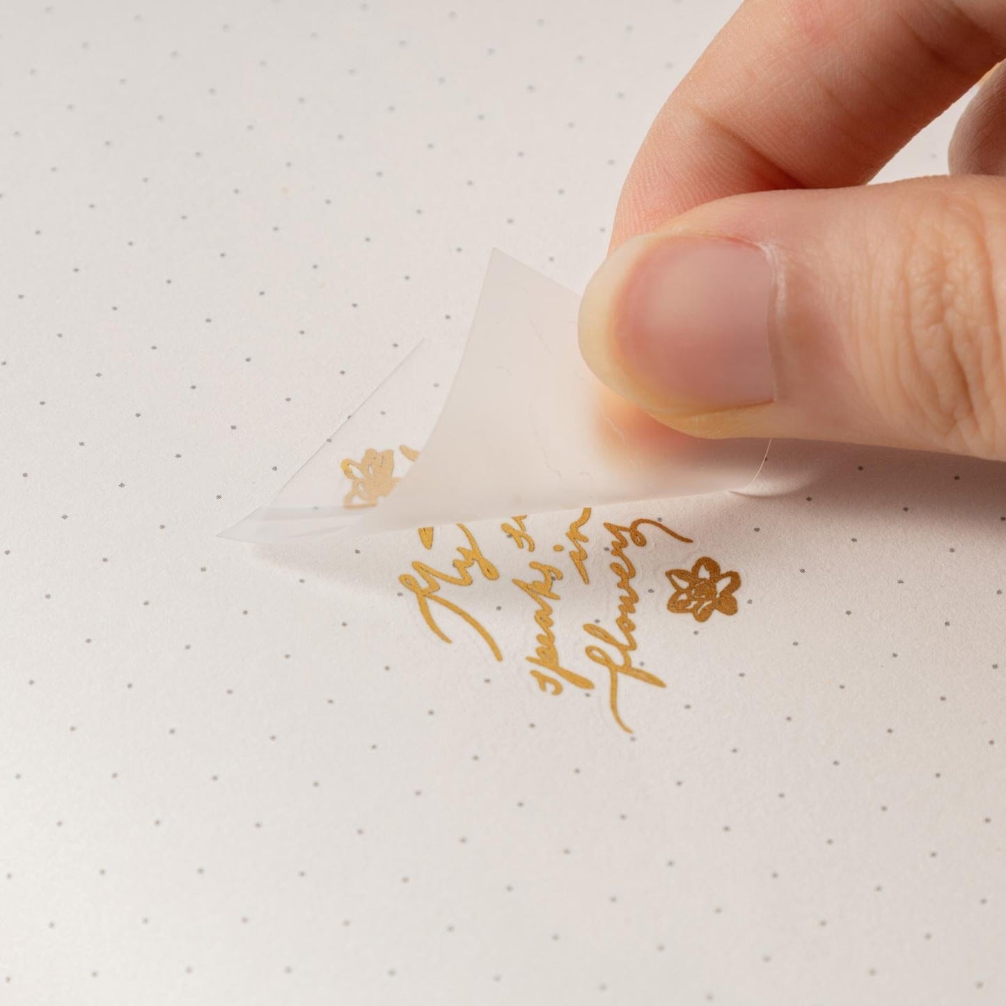 Hinoki - ‘Into the New Year’ 2024 Collector’s Edition Gift Set