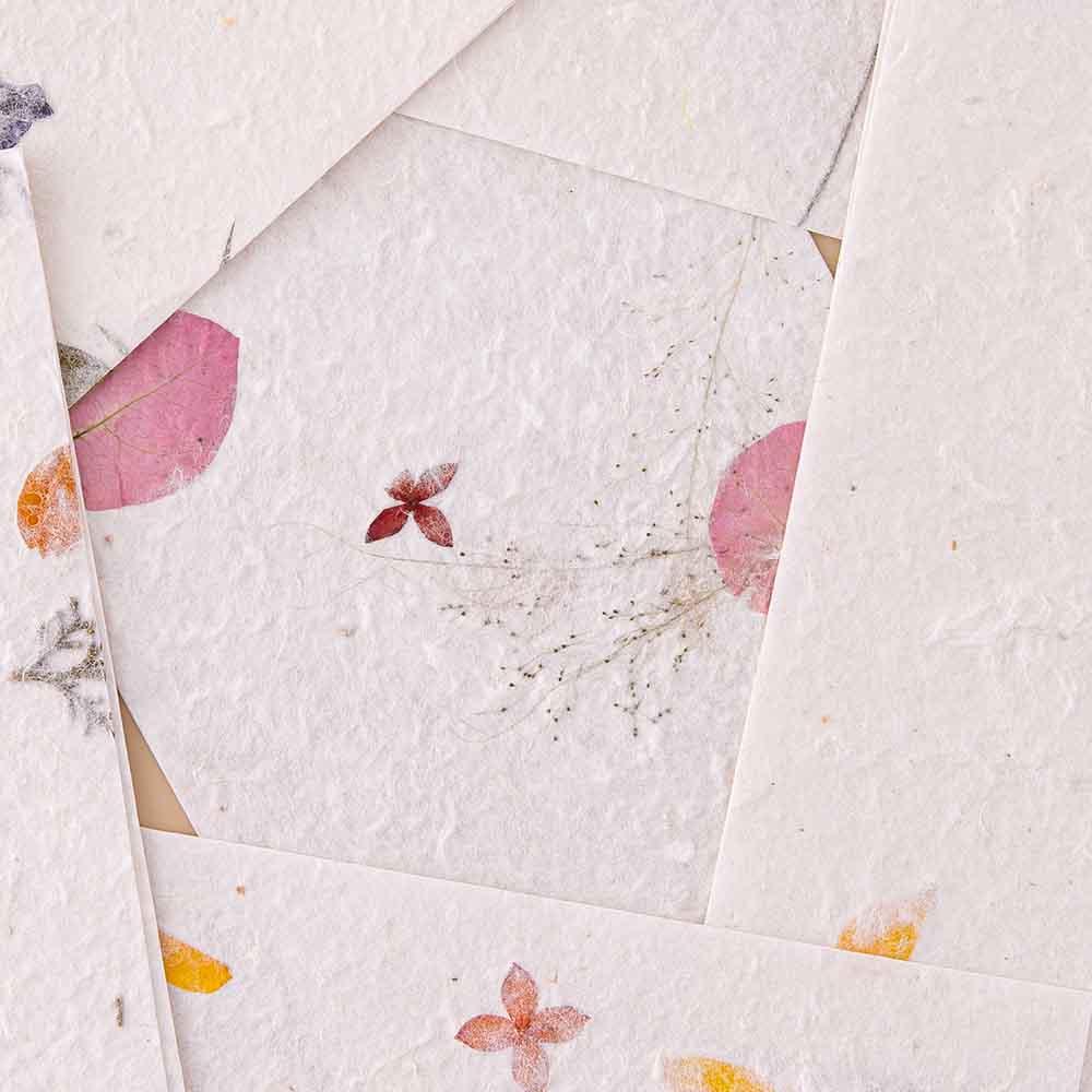 Tsuki Handmade Petal Paper Pack ☾